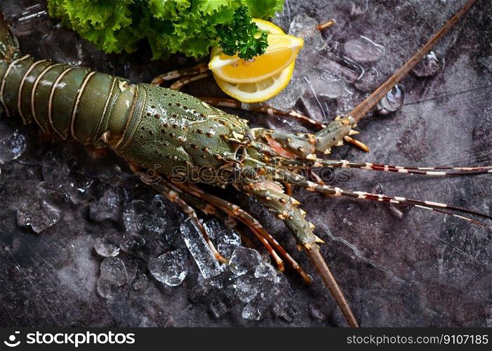 spiny lobster seafood on ice, fresh lobster or rock lobster with herb and spices lemon coriander parsley on dark background, raw spiny lobster for cooking food or seafood market - top view