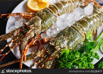 spiny lobster seafood on ice, fresh lobster or rock lobster with herb and spices lemon coriander parsley on background, raw spiny lobster for cooking food or seafood market - top view