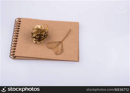 Spiral notebook with heart shaped leaf and a pine cone