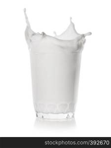 Splash in a low glass of milk isolated on a white background. Splash in a low glass of milk