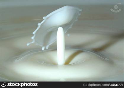 Splash in a milk glass - Milk Drop on a bowl