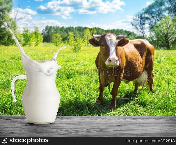 Splash of milk in a jug against the background of a cow in a meadow. A jug of milk stands on a wooden table on a background of pasture with a brown cow. Splash of milk in jug against background of cow in meadow