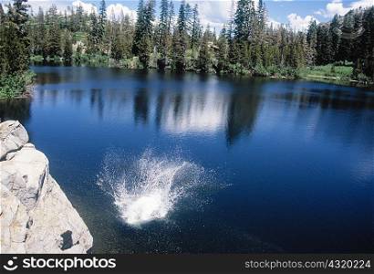 Splashes in lake, Five Lakes, California, USA