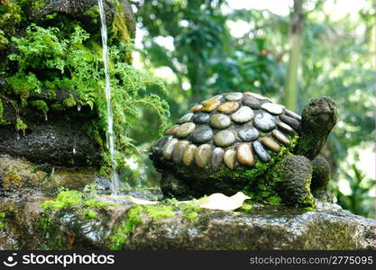 Splashing Garden Fountain with a stone turtle.