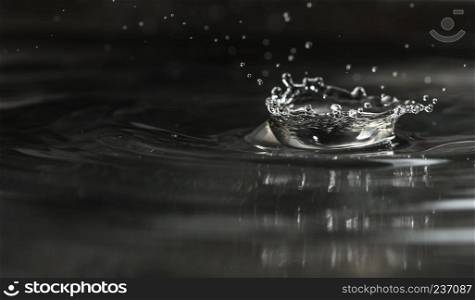Splashing water drops. Water drop macro shot. Dark background