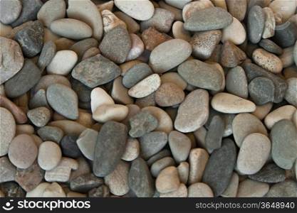 splinter of a pebbles stone