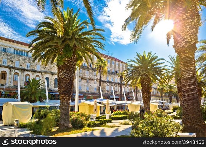 Split main waterfront walkway palms and architecture, Dalmatia, Croatia