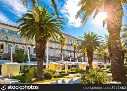 Split main waterfront walkway palms and architecture, Dalmatia, Croatia