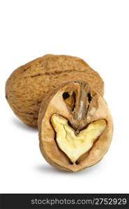 Split walnut. It is isolated on a white background