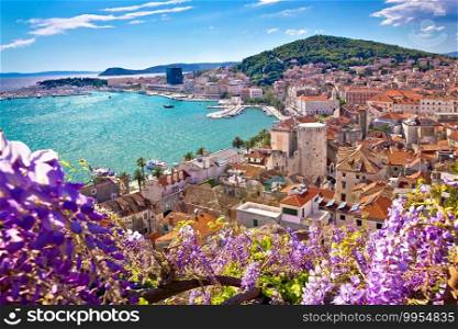 Split waterfront and Marjan hill colorful flower aerial view, Dalmatia region of  Croatia