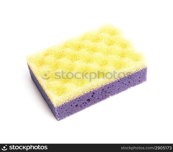 Sponge