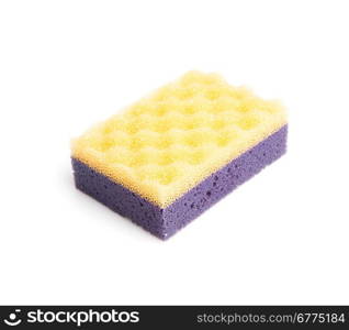 Sponge