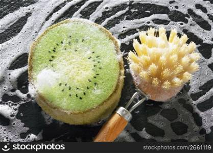Sponge and Brush