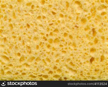 Sponge background