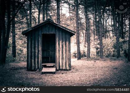 Spooky cabin in a dark and mysterious forest