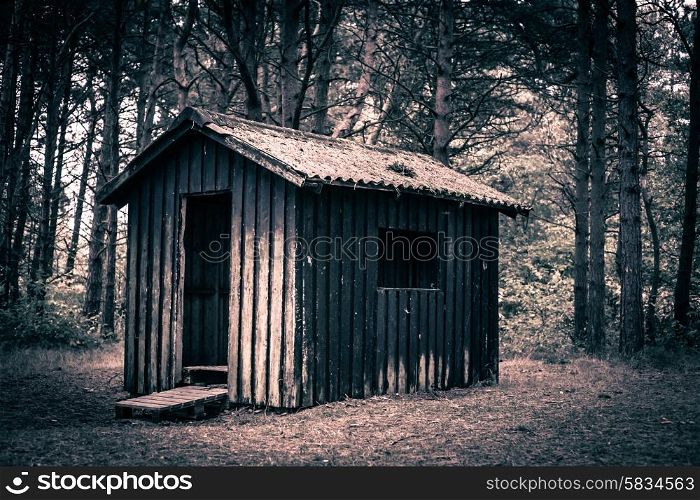 Spooky cabin in a dark and mysterious forest