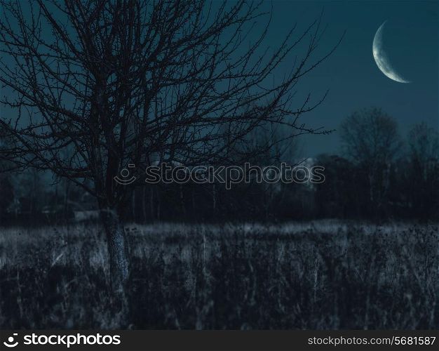 Spooky night on the old cemetery, abstract backgrounds