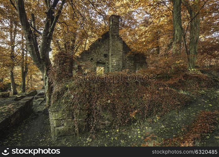 Spooky old abandoned derelict building in thick Autumn forest landscape