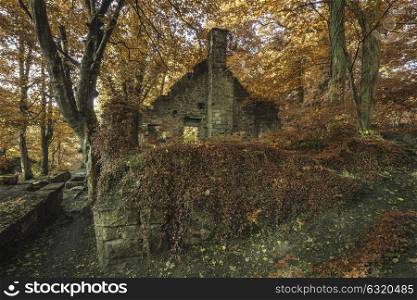 Spooky old abandoned derelict building in thick Autumn forest landscape