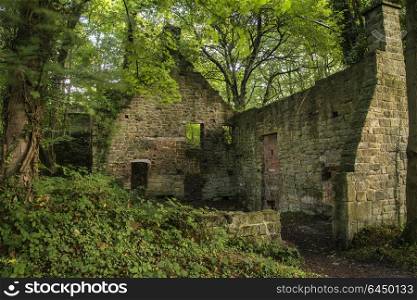 Spooky old abandoned derelict building in thick forest landscape