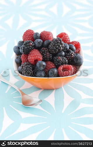 Spoon and bowl of forest fruits