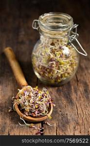 Spoon of Raw Alfalfa Sprouts