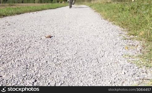 Sport activity: young adult cyclist riding mountain bike in the countryside and smiling at camera. Crane shot