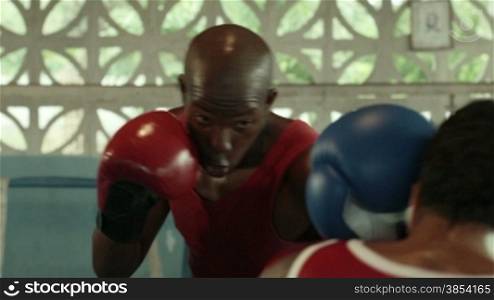 Sport and people, two men exercising and fighting in boxing gym