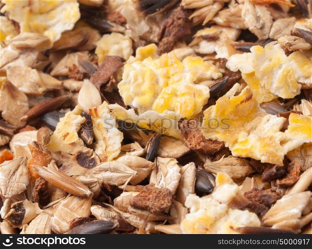 sportive muesli background with black oats. for horse. macro