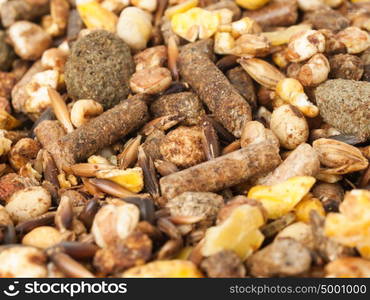 sportive muesli background with black oats. for horse.macro