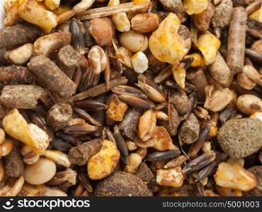 sportive muesli background with black oats. for horse.macro