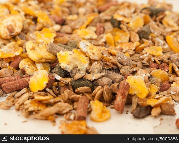 sportive muesli with corn flakes for horses. close up. selective focus