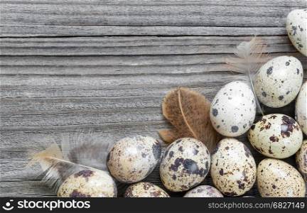 Spotted quail eggs and feathers arranged in a form of the frame on the background of old wooden boards, with copy-space