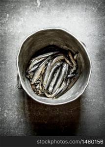 Sprat in the old pot. On a stone background.. Sprat in the old pot.