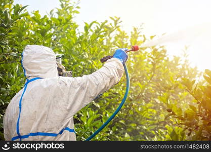 Spray ecological pesticide. Farmer fumigate in protective suit and mask lemon trees. Man spraying toxic pesticides, pesticide, insecticides.. Spray ecological pesticide. Farmer fumigate in protective suit and mask lemon trees. Man spraying toxic pesticides, pesticide, insecticides