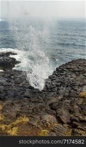 Spray rushing out from the fascinating Little Blowhole, at Tingira Crescent, Kiama, Southern Coast of NSW, Australia