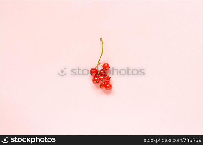 Sprig of red currant berry on pastel pink paper background in minimal style Copy space Template for lettering, text or your design Creative Flat lay Top view.. Sprig of red currant berry on pastel pink paper background in minimal style Copy space Template for lettering, text or your design Creative Flat lay Top view