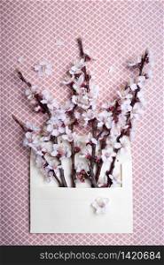 sprigs of blossoming apricot in an envelope. floral background. spring and easter