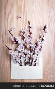 sprigs of blossoming apricot in an envelope on a wooden background. floral background. spring and easter