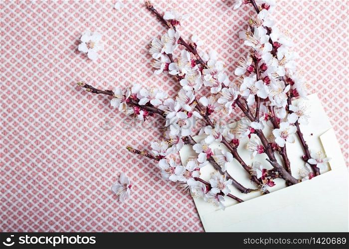 sprigs of blossoming apricot in an envelope on a wooden background. floral background. spring and easter