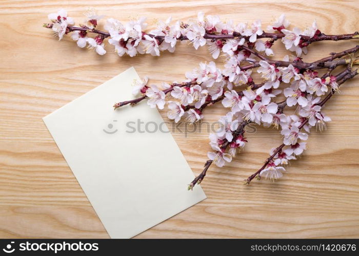 sprigs of blossoming apricot on a wooden background. floral background. spring and easter