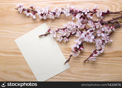 sprigs of blossoming apricot on a wooden background. floral background. spring and easter