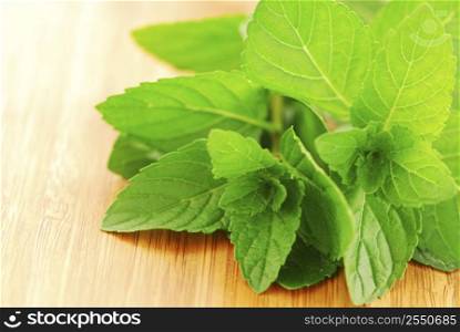 Sprigs of fresh green mint on a cutting board, closeup