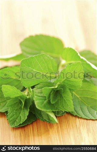 Sprigs of fresh green mint on a cutting board, macro
