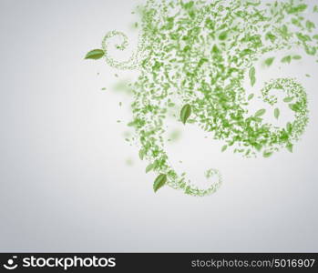 Spring and summer background: leaf tornado