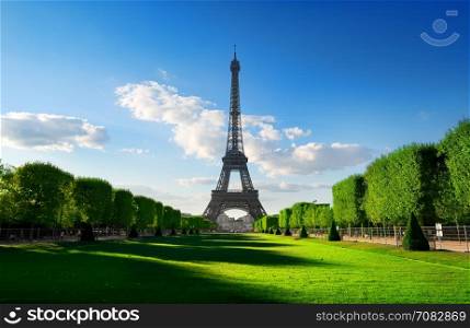Spring at Champs de Mars with the view on Eiffel Tower in Paris, France