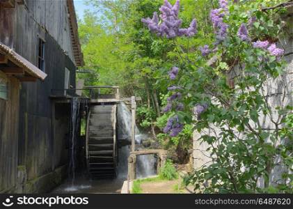 Spring at the Water Mill in Ohaba, Romania. Spring at the Water Mill