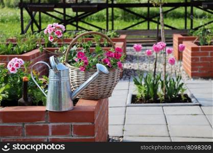 Spring background. A modern vegetable garden with raised briks beds . Raised beds gardening in an urban garden.. Spring background. A modern vegetable garden with raised briks beds . Raised beds gardening in an urban garden