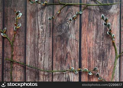 Spring background. Cat tree - flowering branches .Willow - Willow flowers - catkins. Easter - spring holidays. Flat - Lay wooden background.