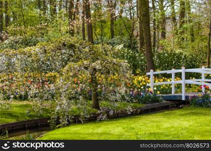 Spring background. landscaped garden
